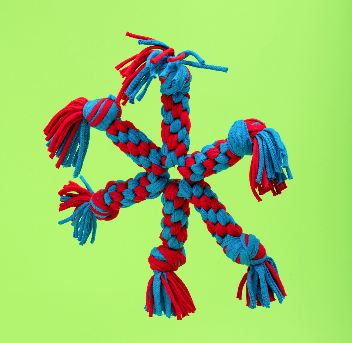 STAR PET TOY