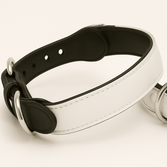 COLLAR PARA MASCOTA