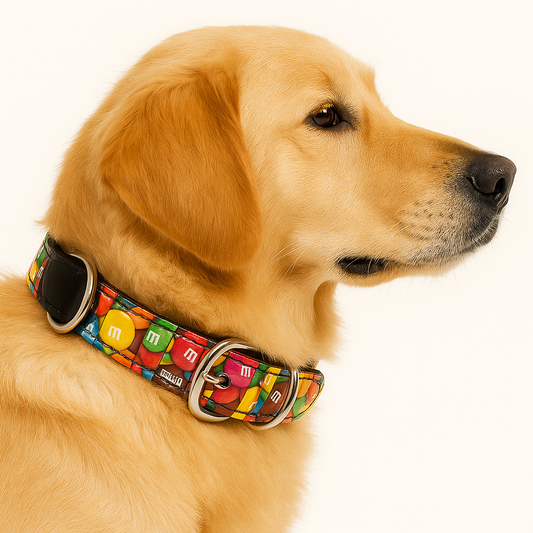 COLLAR PARA MASCOTA