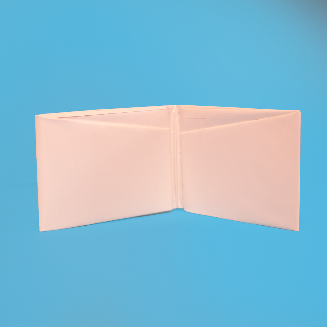 CAMELIA WALLET