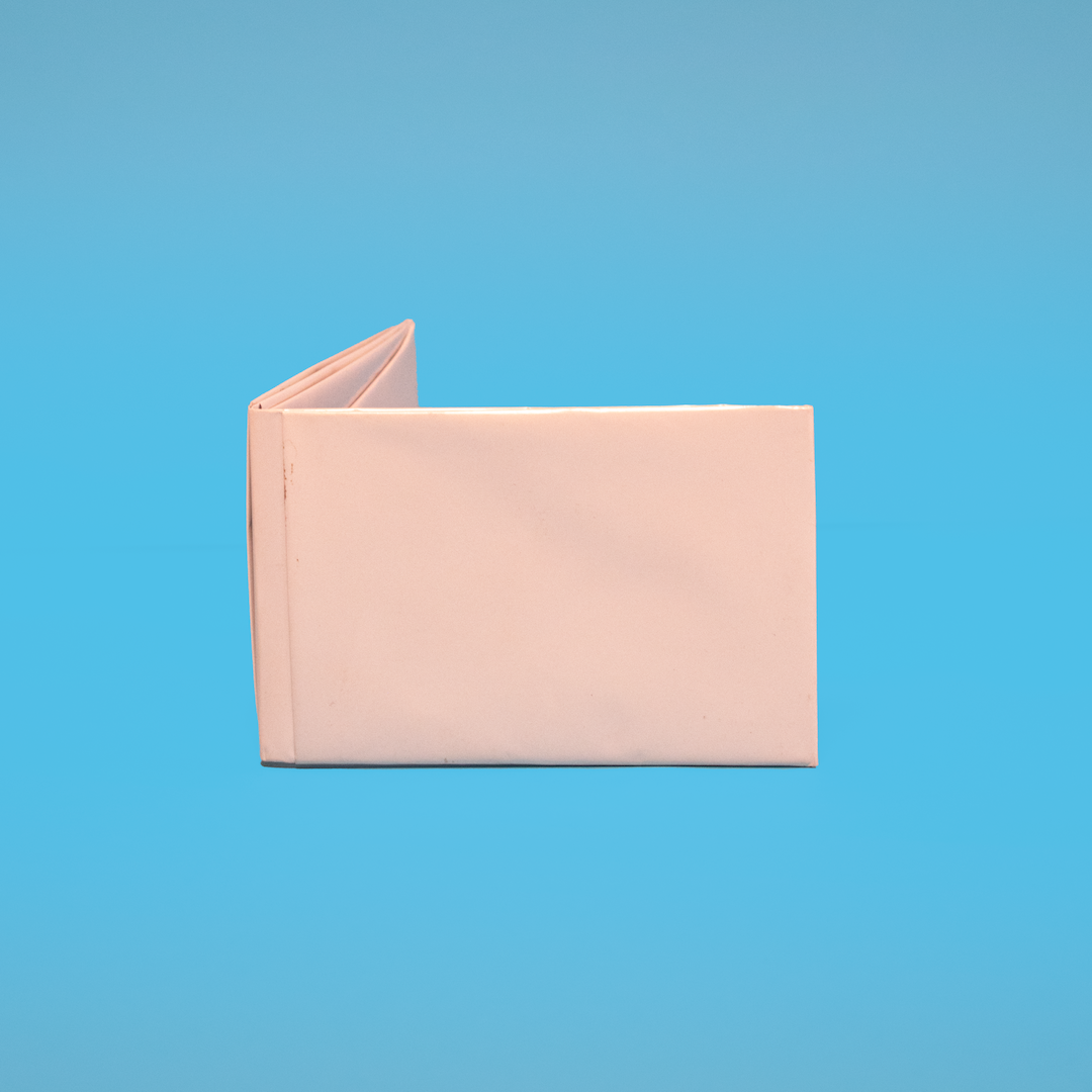 CAMELIA WALLET