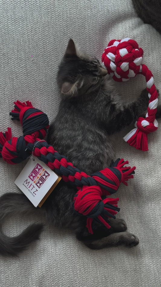 JUGUETE PARA MASCOTA PELOTA