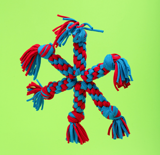 STAR PET TOY