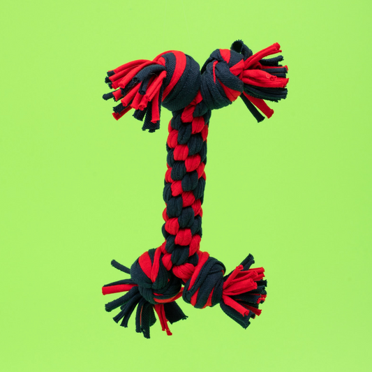 LARGE BONE PET TOY 