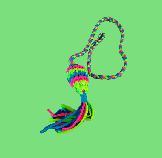 CAT PULL TOY