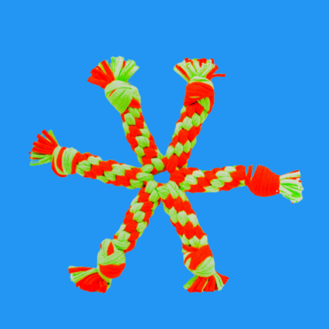STAR PET TOY
