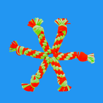 STAR PET TOY